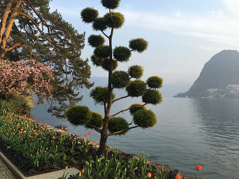 Tatiana Alciati Wedding & Events Locations Svizzera Lago di Lugano